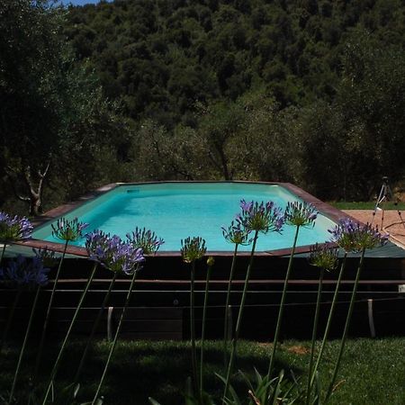 Il Pino Vetulonia Exterior foto