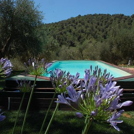 Il Pino Vetulonia Exterior foto