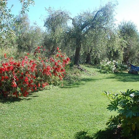 Il Pino Vetulonia Exterior foto