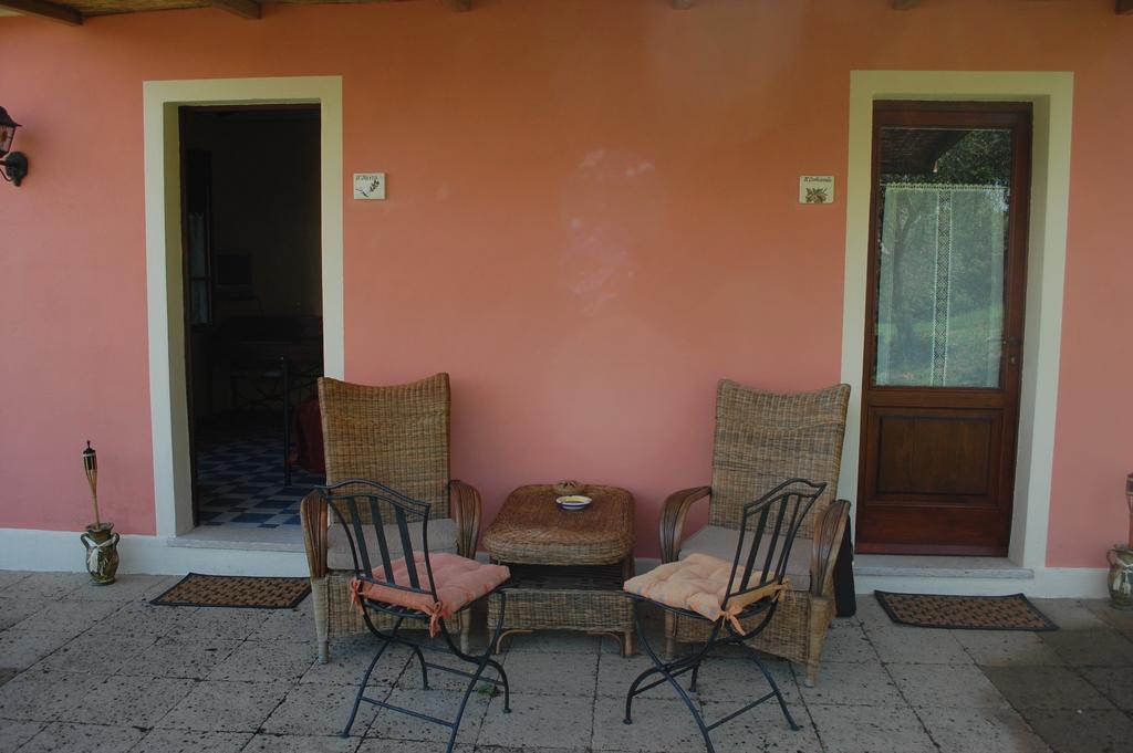 Il Pino Vetulonia Quarto foto