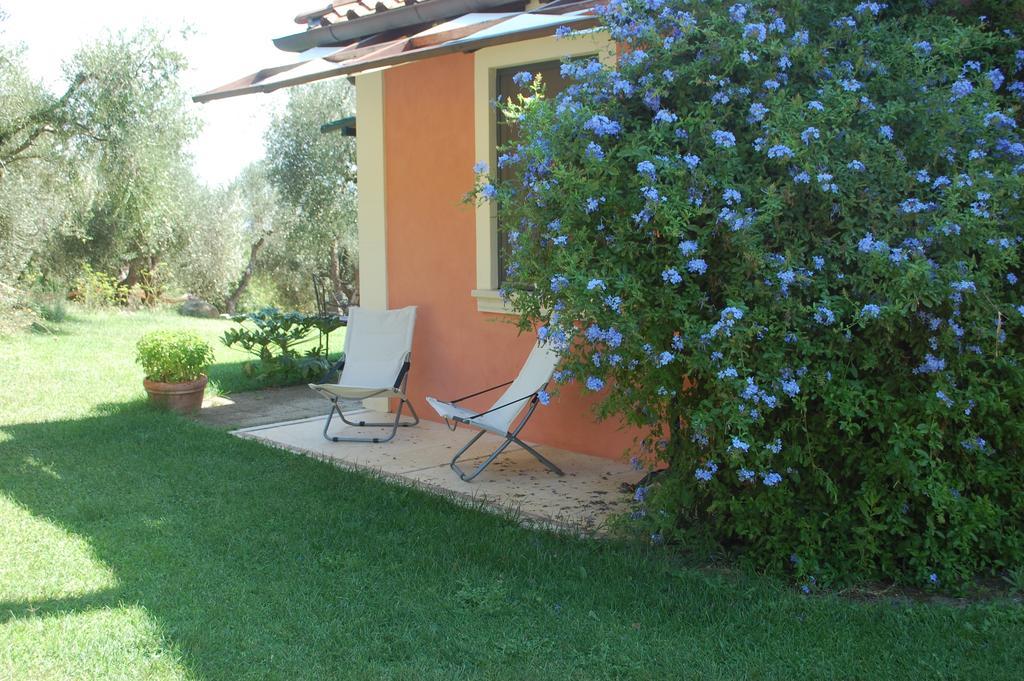 Il Pino Vetulonia Quarto foto