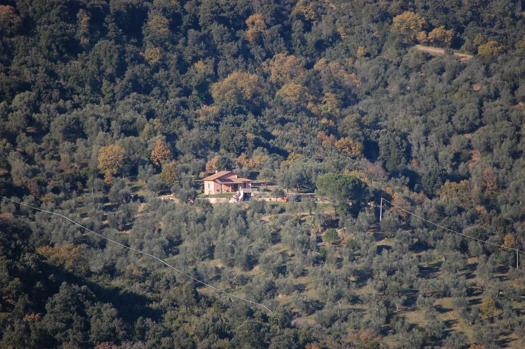 Il Pino Vetulonia Exterior foto
