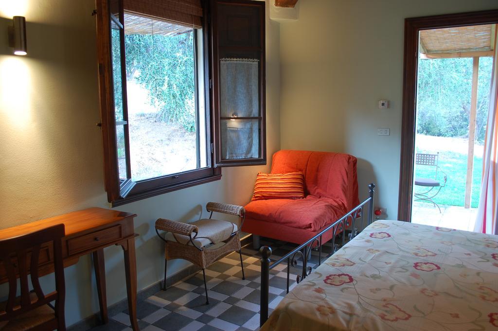 Il Pino Vetulonia Quarto foto