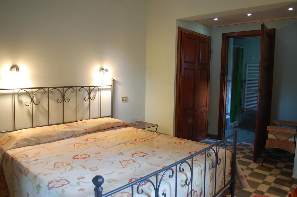 Il Pino Vetulonia Quarto foto