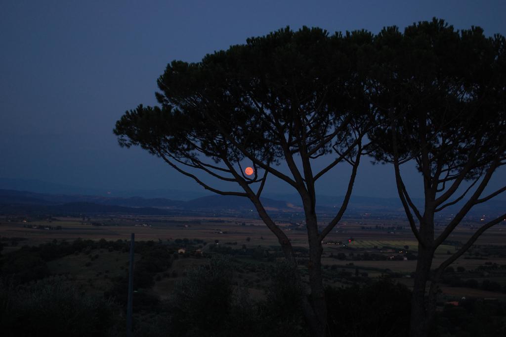 Il Pino Vetulonia Exterior foto